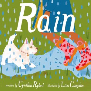 Read more about the article Rain