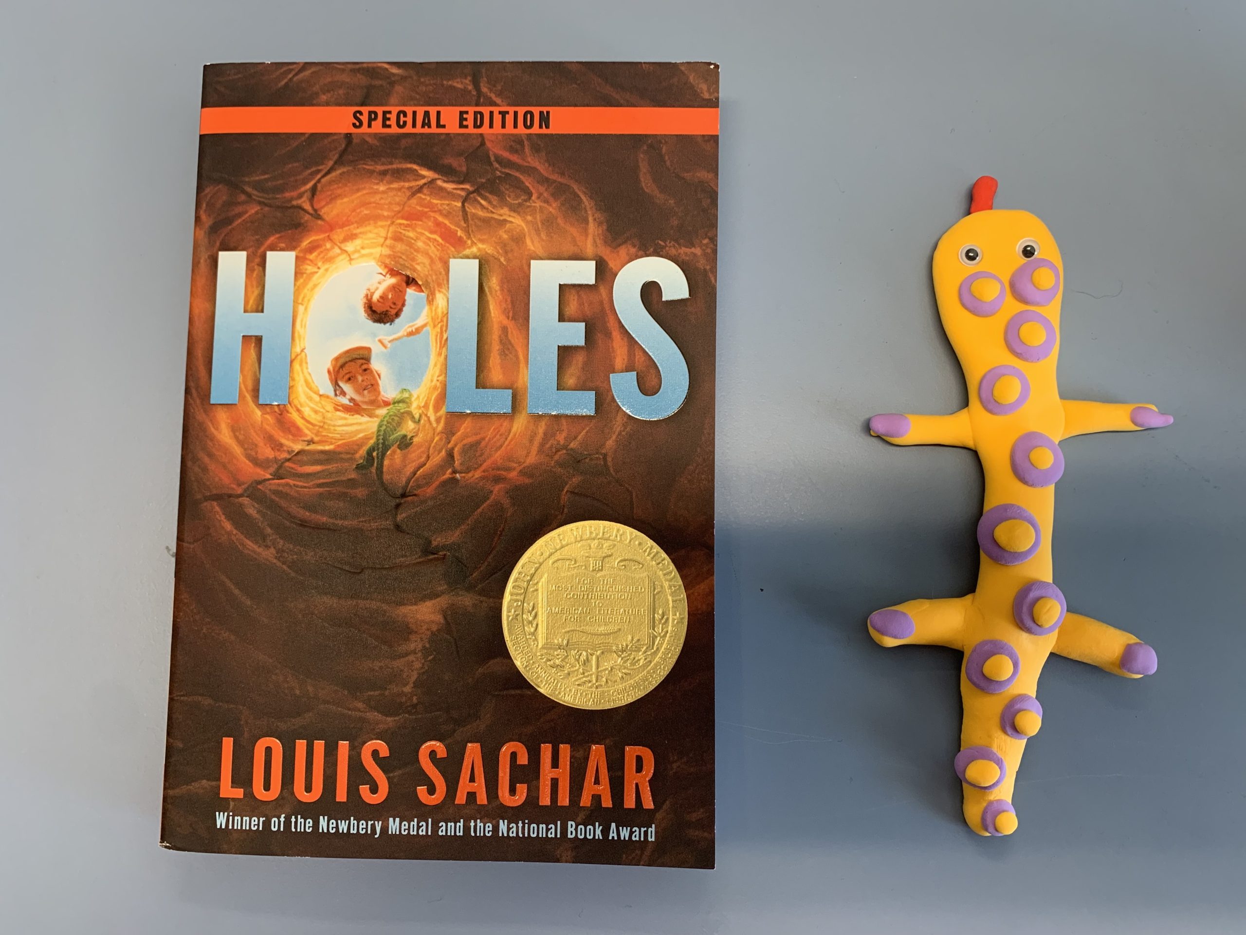 Read more about the article Page Turners Book Club: Holes, by Louis Sachar