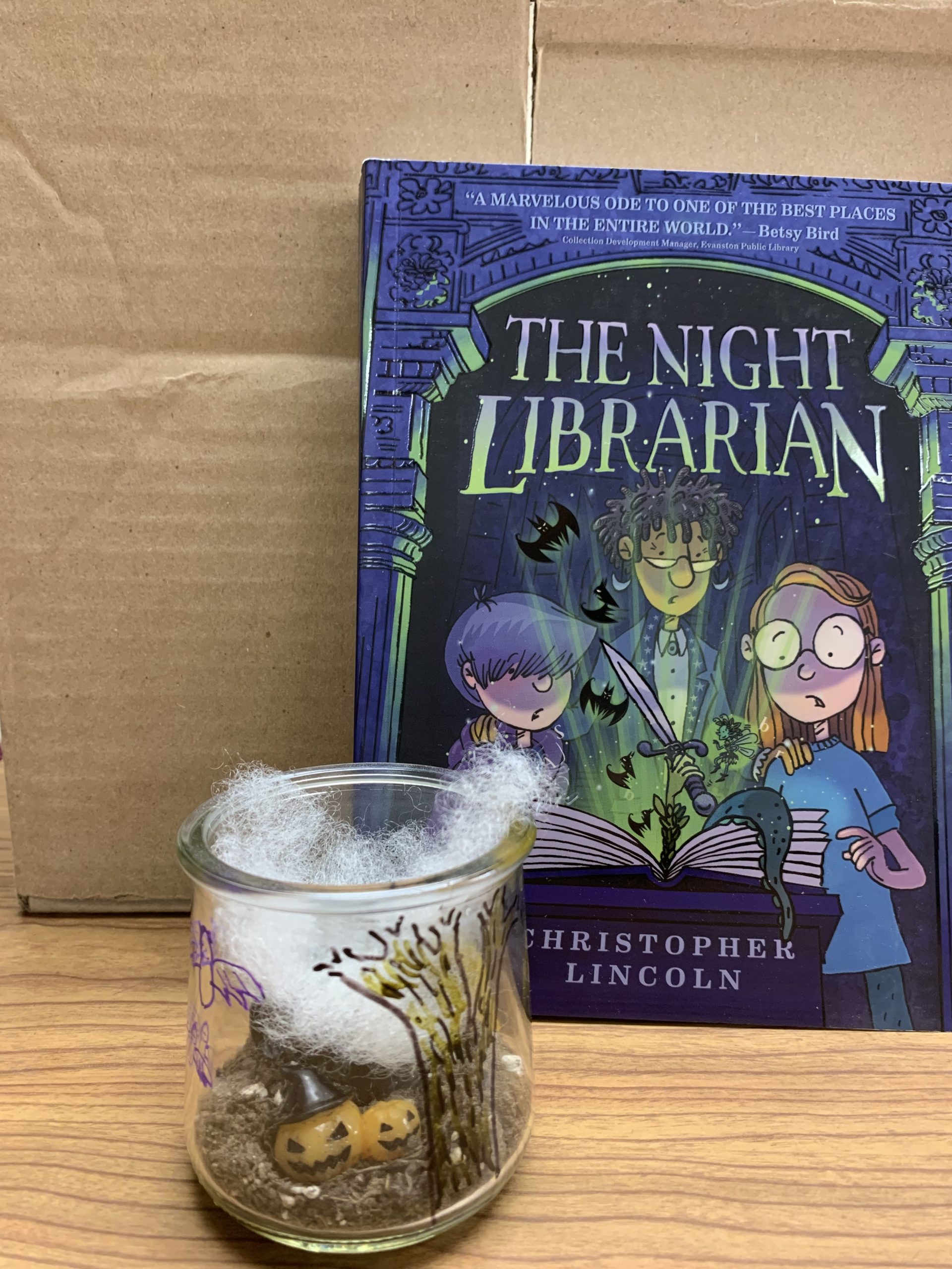 Read more about the article Page Turners Book Club: The Night Librarian