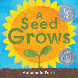 Read more about the article Seeds