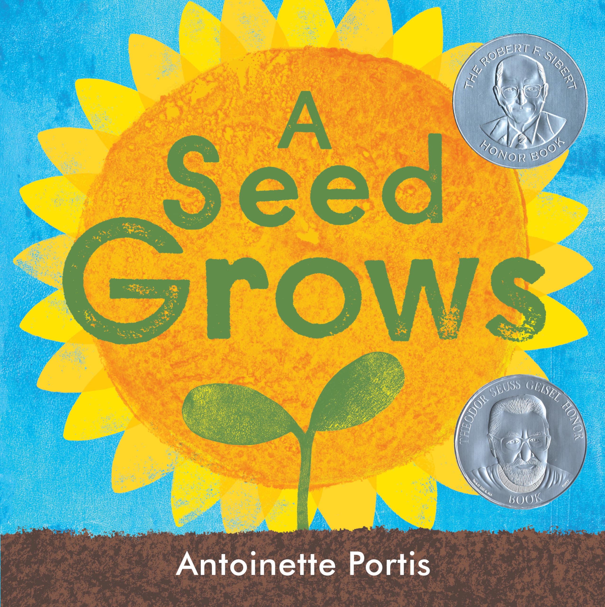 Read more about the article Seeds