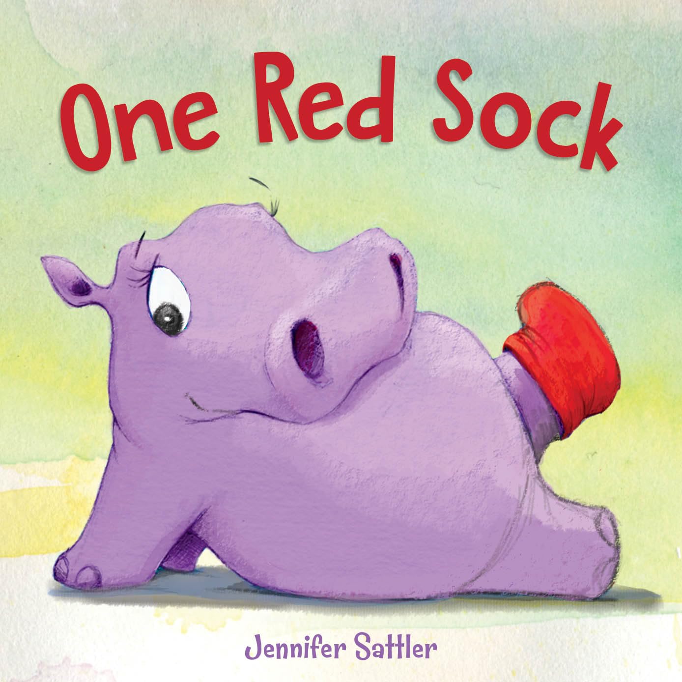 Read more about the article Shoes & Socks